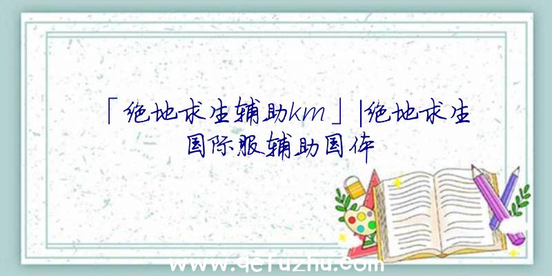 「绝地求生辅助km」|绝地求生国际服辅助国体